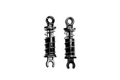 2 Rear Shocks
